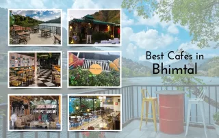 Best Cafes in Bhimtal-thelakehill.com